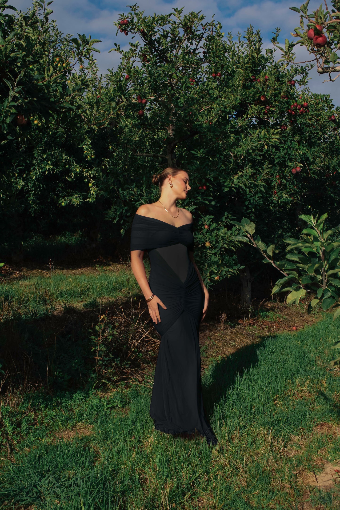 House of Lombardi Aurora off the shoulder sheer maxi dress